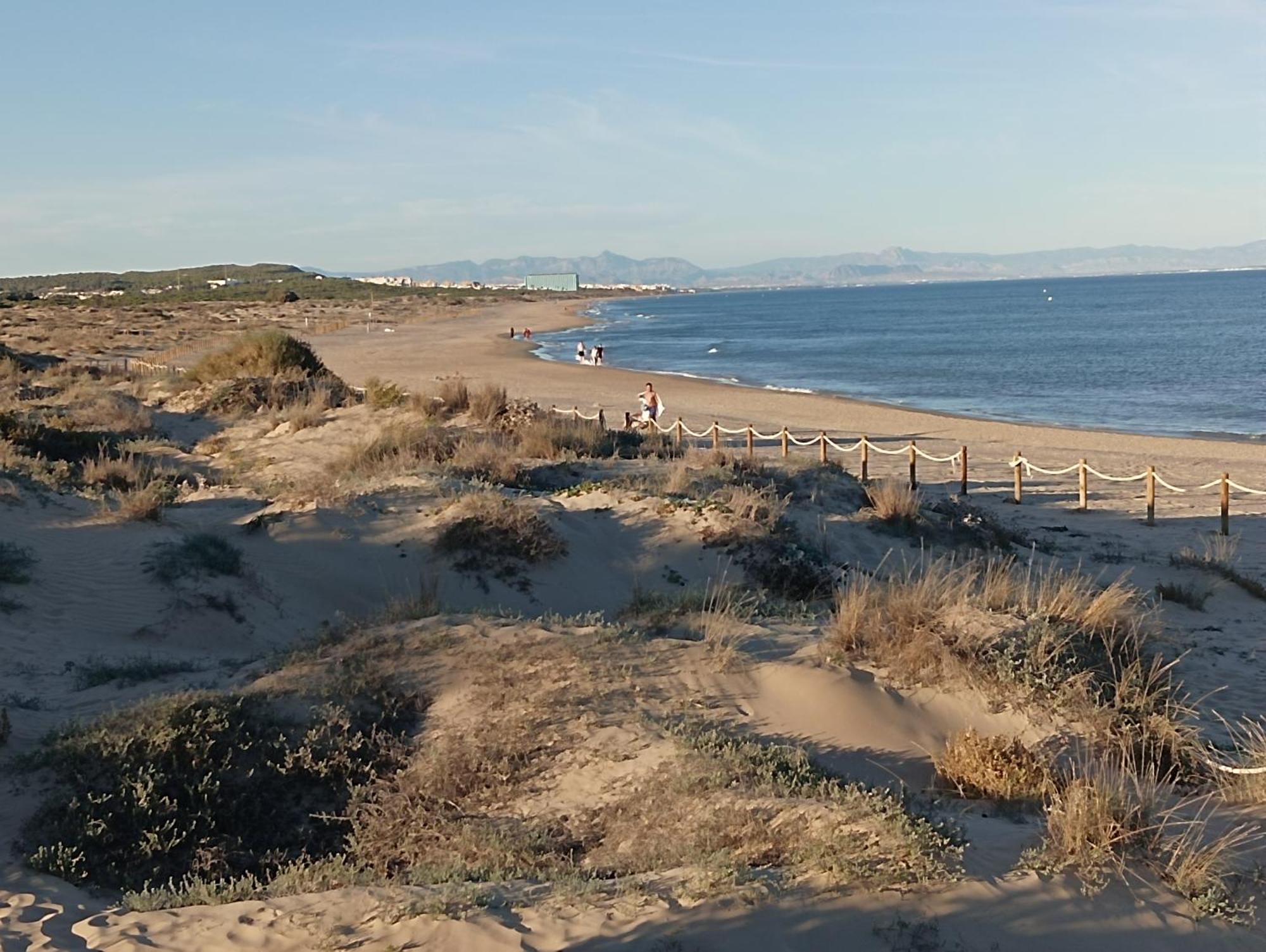 Bonito Apartamento 150 M De La Playa La Mata Ла-Мата Экстерьер фото